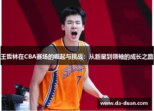 王哲林在CBA赛场的崛起与挑战：从新星到领袖的成长之路